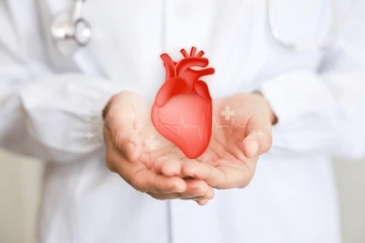 Cardiology