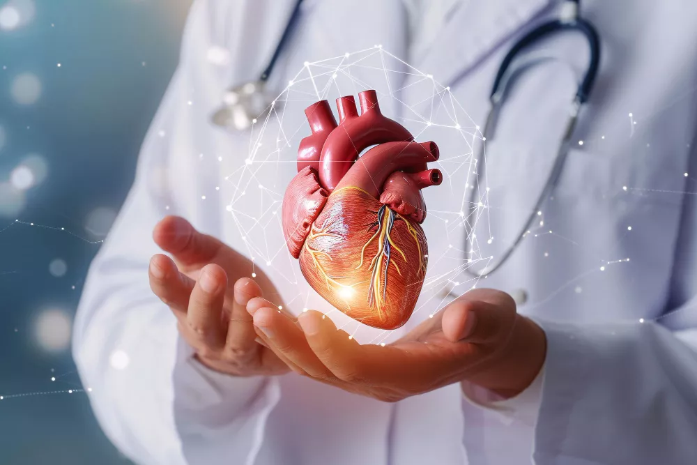 cardiology